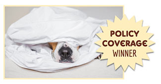 Dog under covers (caption: Policy Coverage Winner)