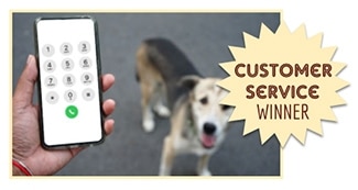 Person holding phone next to dog: Customer Service & Reputation Winner
