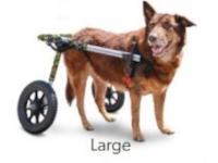 large dog wheelchair