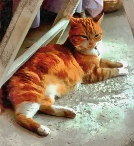 A ginger cat lays with all four paws spread out and his head up against a patio chair leg, his eyes are half closed but his ears are alert.