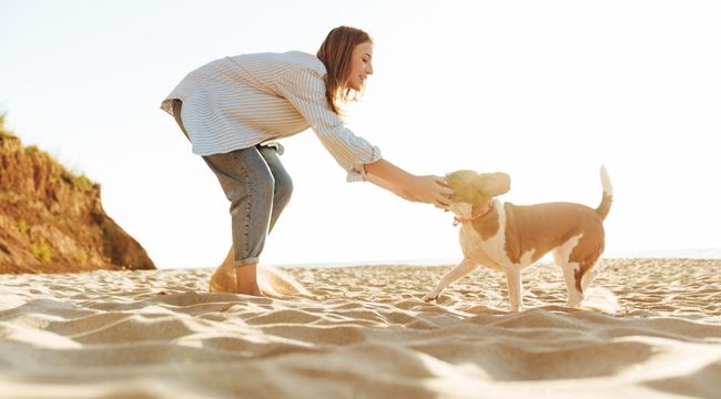 What Do Healthy Dogs All Have in Common