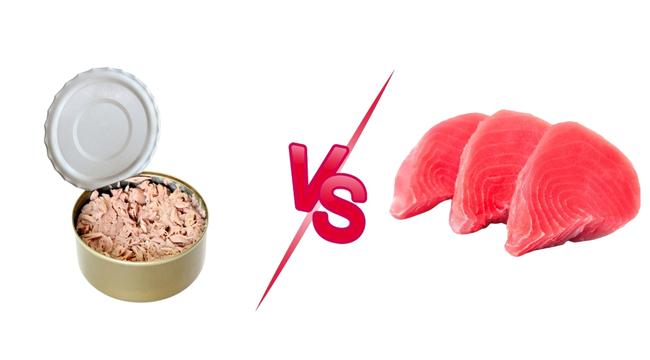 Canned Tuna vs. Fresh Tuna for Dogs