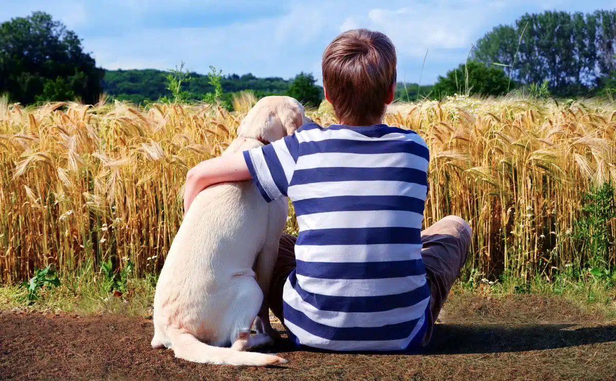 boy with dog in a corn field