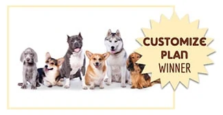 Several types of dogs sitting together (caption: Customize Plan Winner)